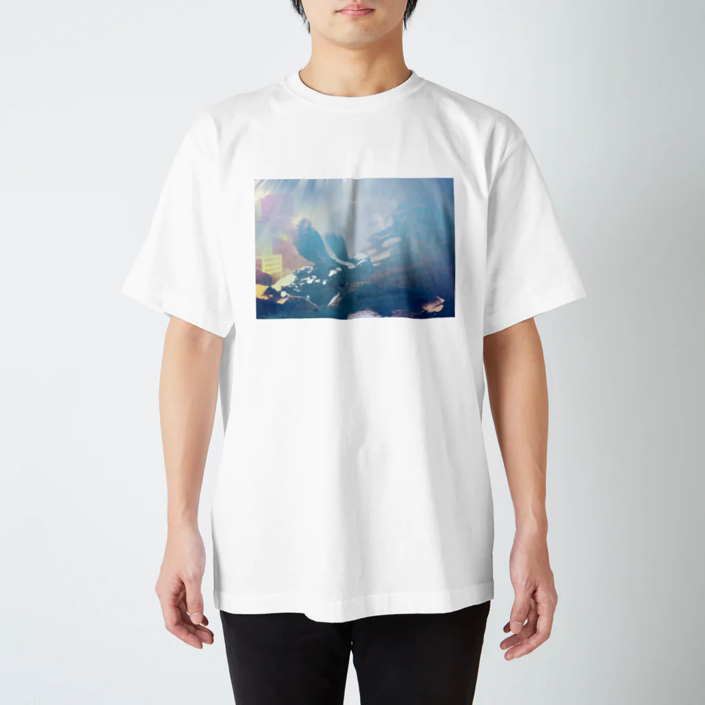 umezooのkako2 スタンダードTシャツ