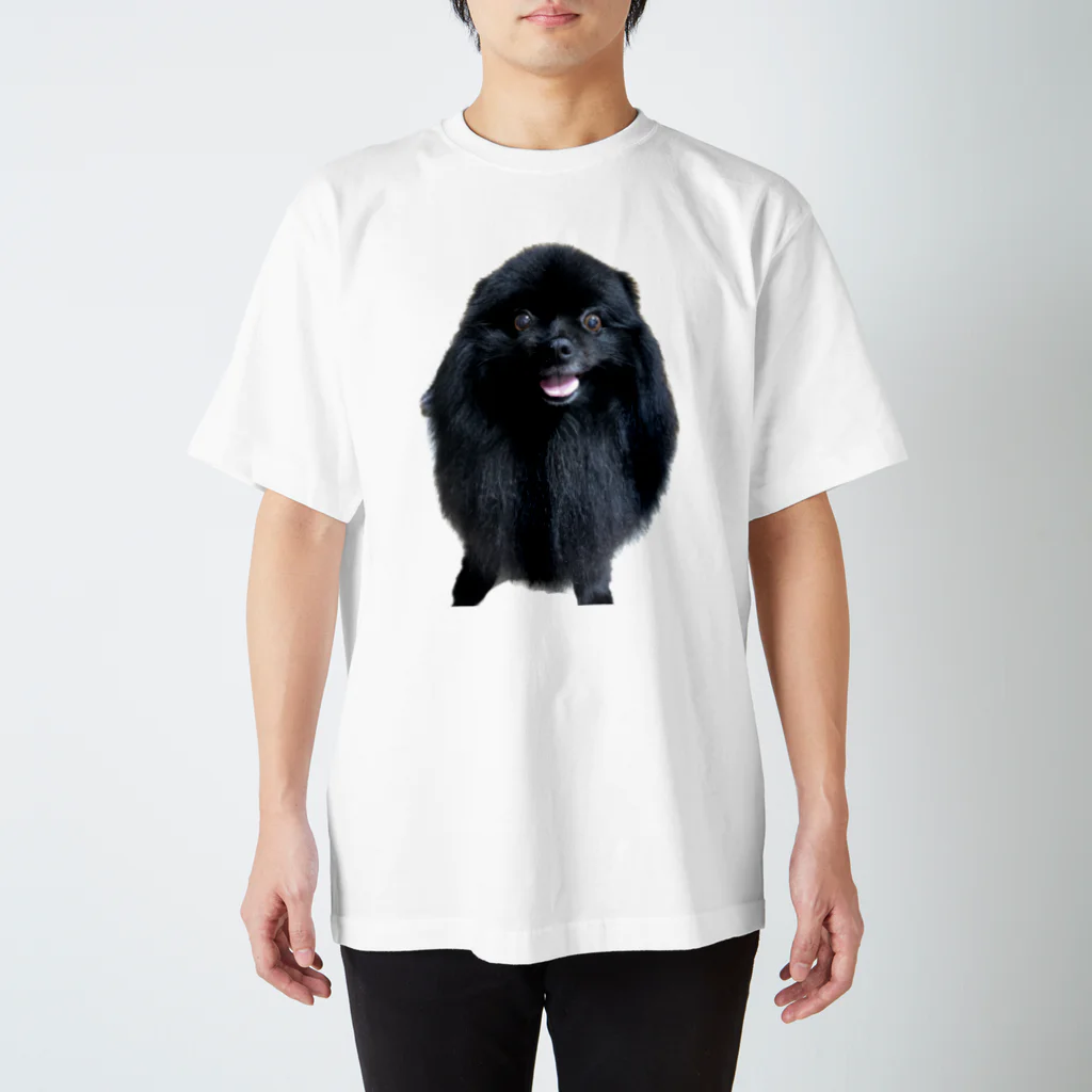 かねこまの8歳のスーティ Regular Fit T-Shirt