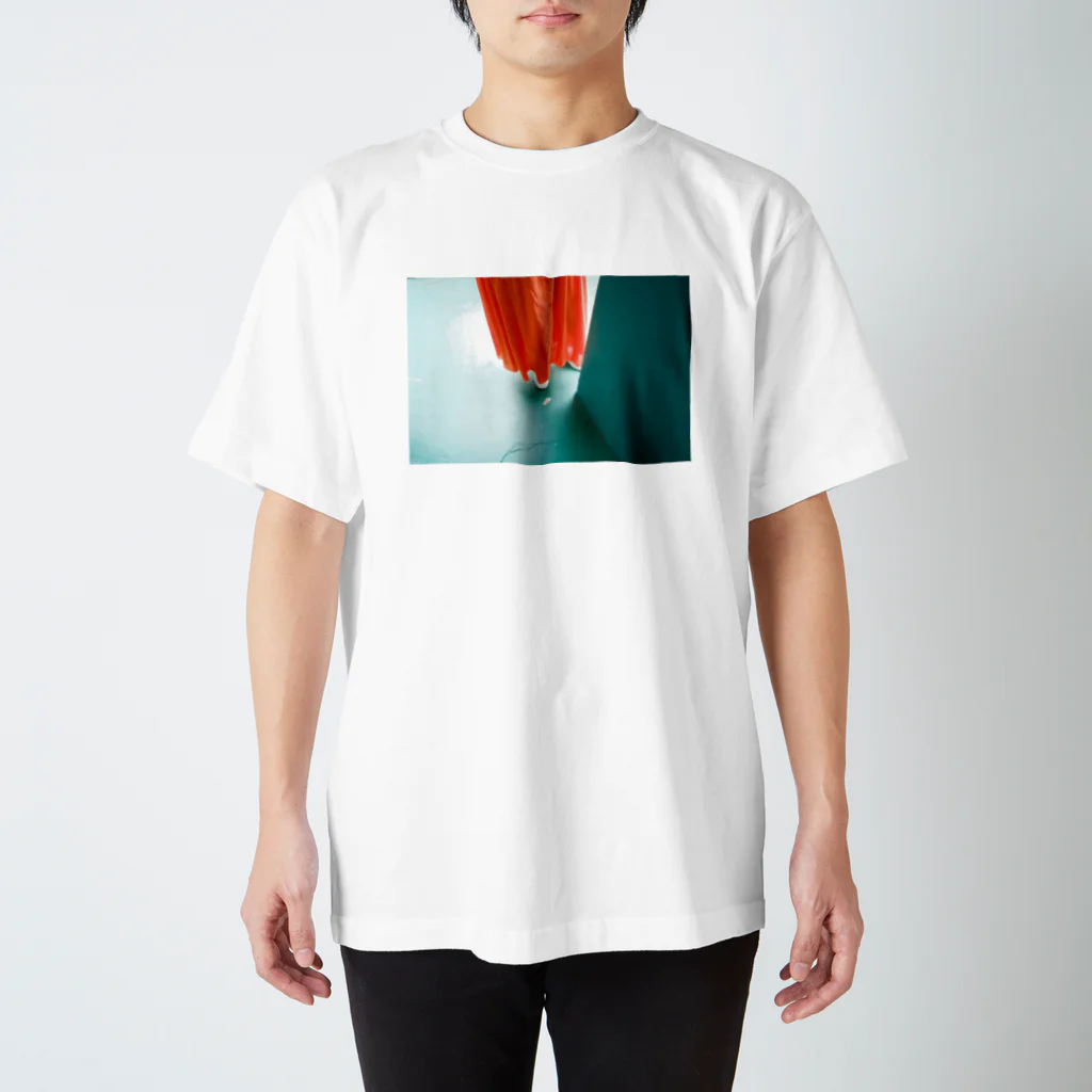 華 | hanaのorange  green スタンダードTシャツ