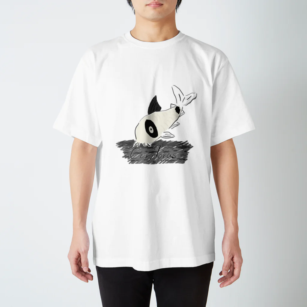 ぺんぎん丸のコリドラス -Corydoras- スタンダードTシャツ