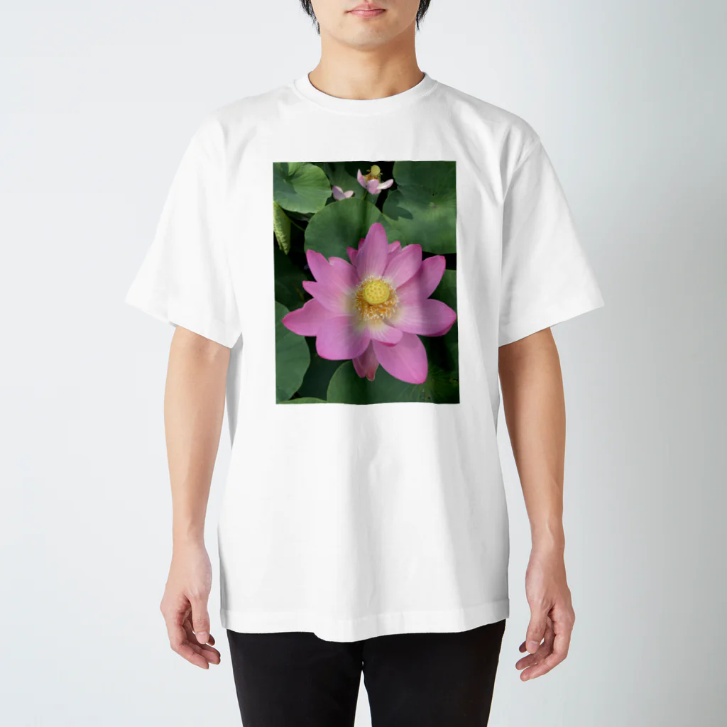 ohkの蓮の花 スタンダードTシャツ