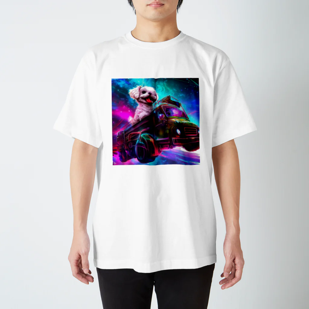 TSA-AkashicGalleryのニッキー（Nicky）1 スタンダードTシャツ