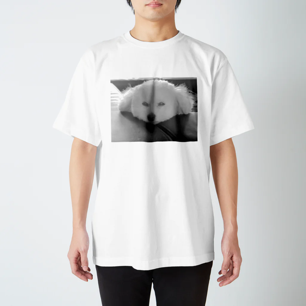 @webgraceのcoco Regular Fit T-Shirt