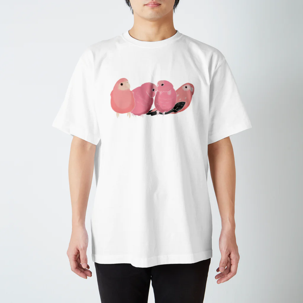 masumi maedaの寄り添う　アキクサインコ Regular Fit T-Shirt