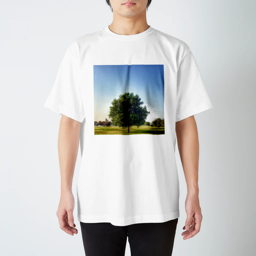 Emanon  ShopのAbū Dhabī tree Regular Fit T-Shirt