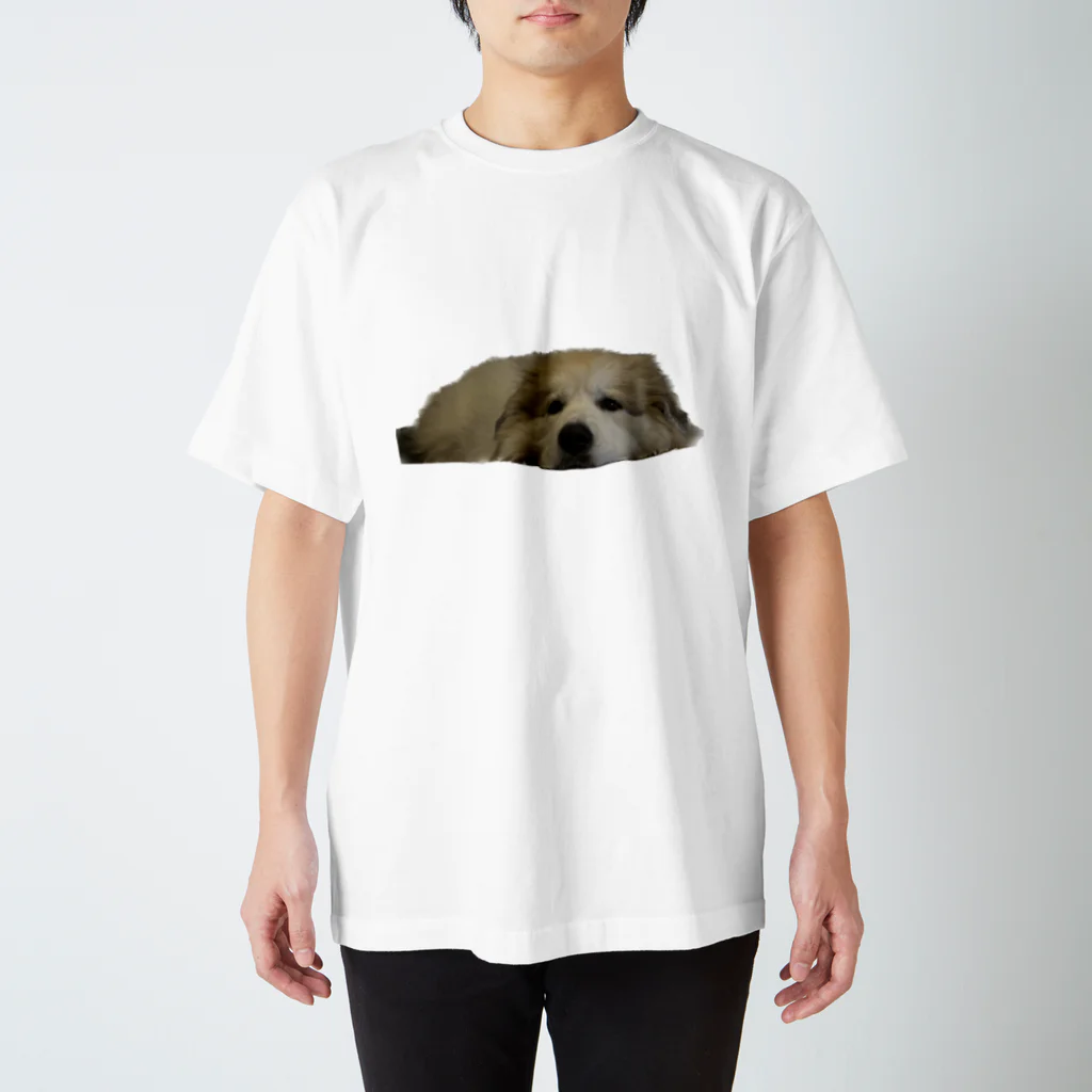 ふとんのいえのふとん（おねだり） Regular Fit T-Shirt