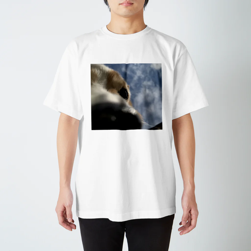 ふぁいんしょっぷの上から覗くコーギー Regular Fit T-Shirt