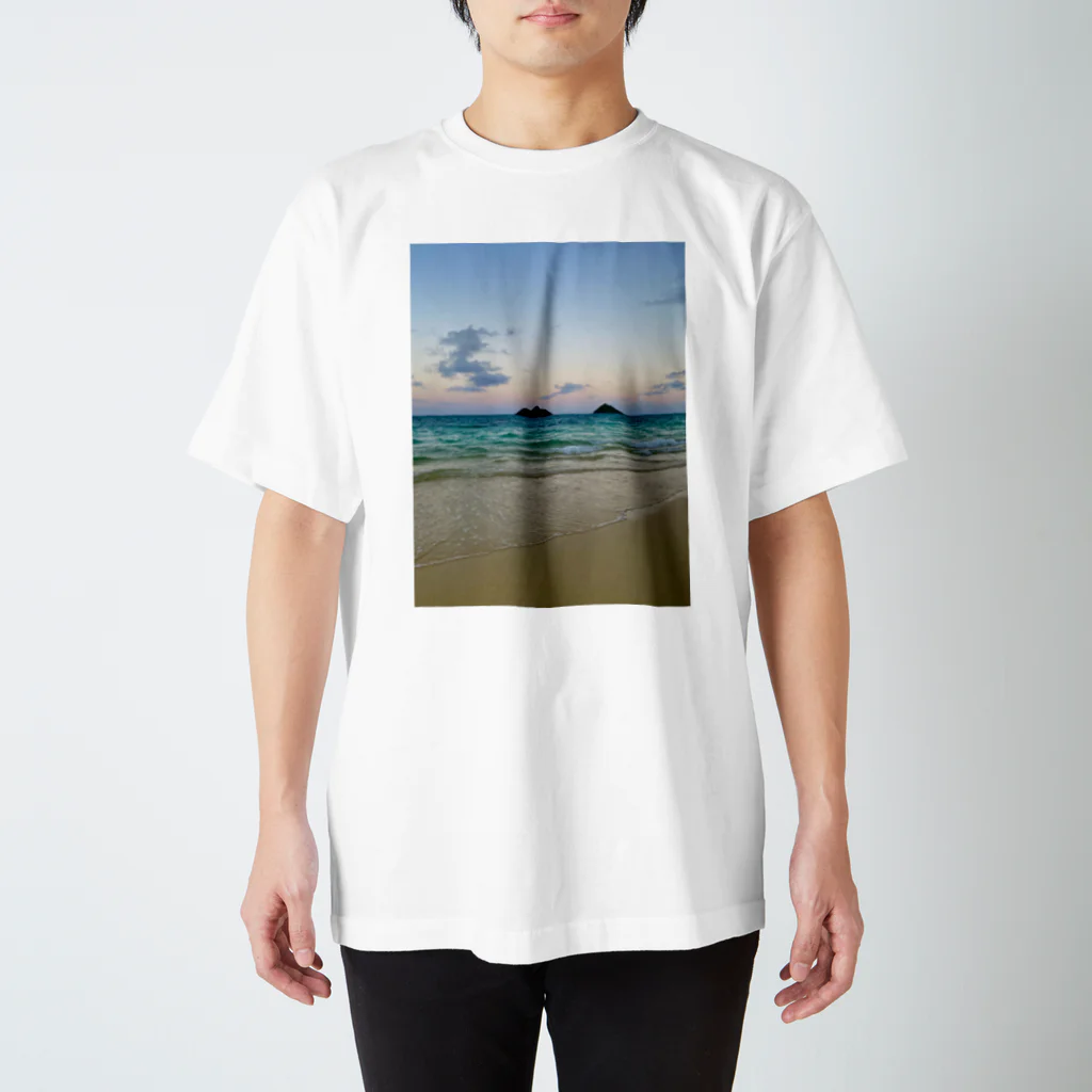 KaulaのTwo islands スタンダードTシャツ