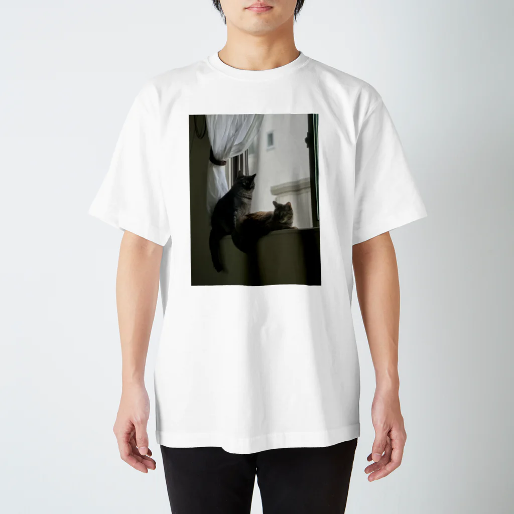 ハネ(🦄)のエモ猫ず Regular Fit T-Shirt