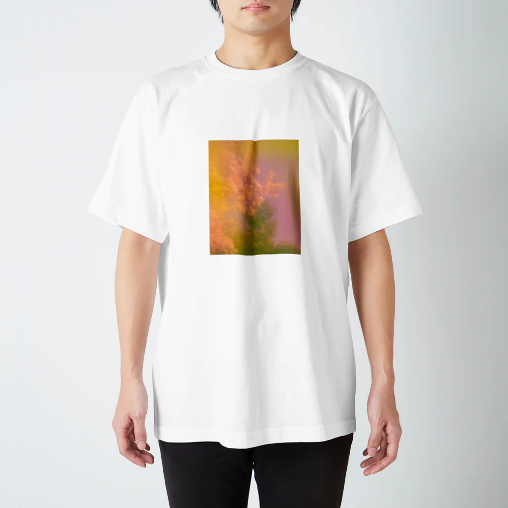 OAMSのFlor de Sakura Regular Fit T-Shirt