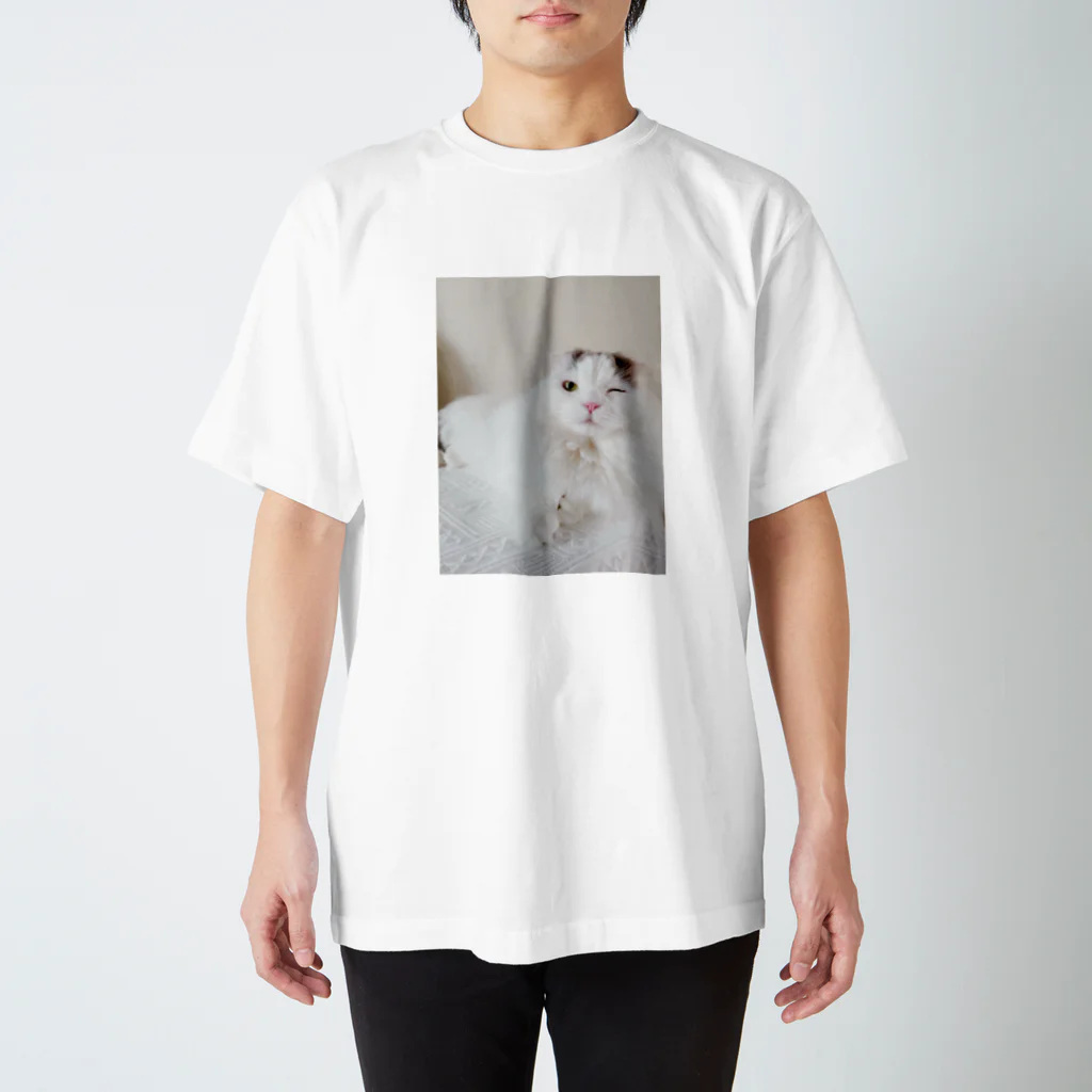 mameomameのおまめのウインク スタンダードTシャツ