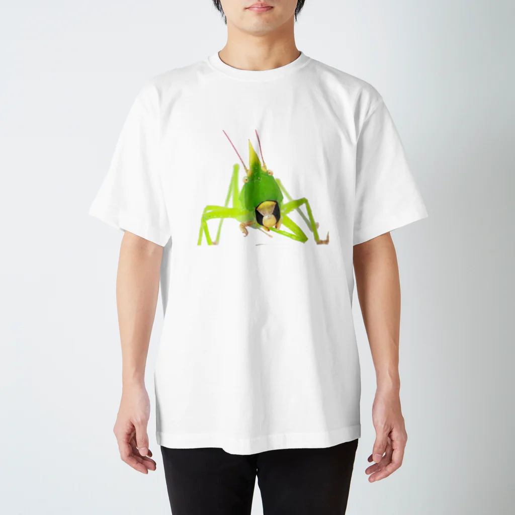 osakana_labの愉快なギスクン Regular Fit T-Shirt