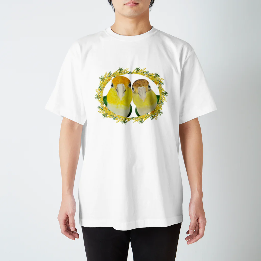 mariechan_koboの034 シロハラインコpairs ミモザのリース スタンダードTシャツ