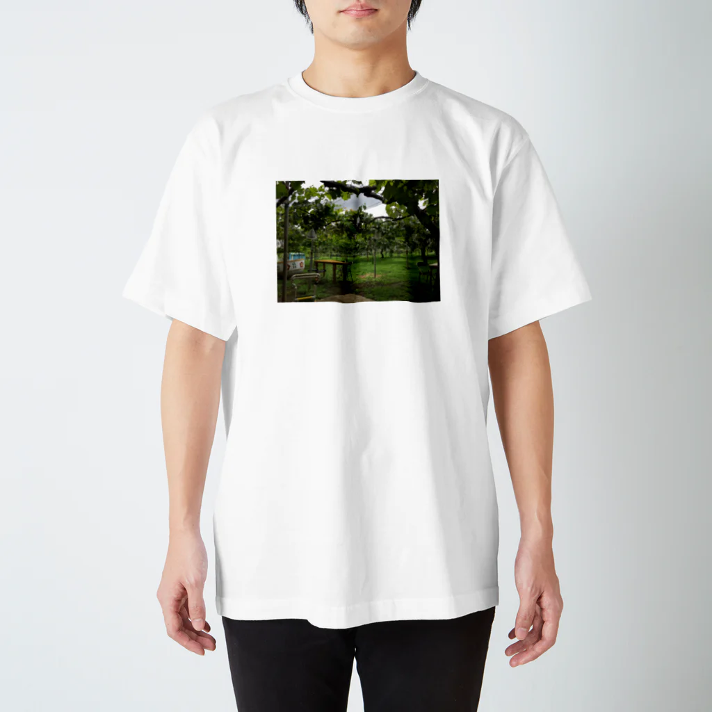 火球舎のvineyard Regular Fit T-Shirt