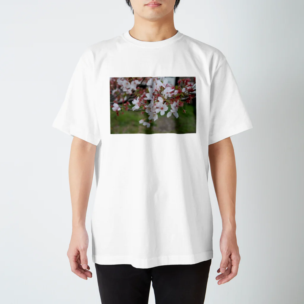 そらまるの部屋の桜の木 Regular Fit T-Shirt