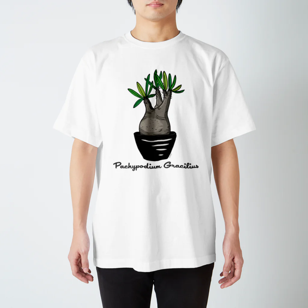 PLANTs　-プランツ-の「グラキリSU」 スタンダードTシャツ