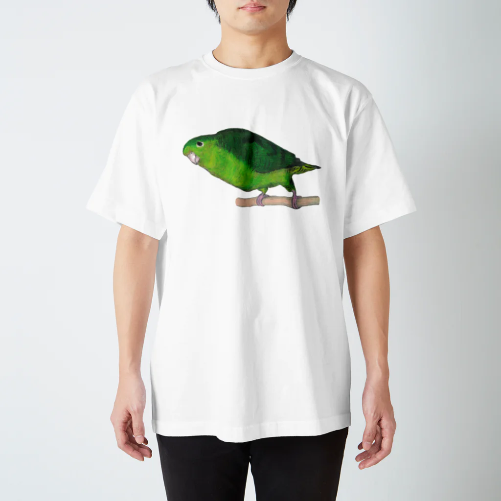 森図鑑の[森図鑑] サザナミインコ緑色 Regular Fit T-Shirt