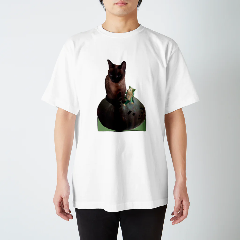 marugeの南瓜の上の猫 スタンダードTシャツ