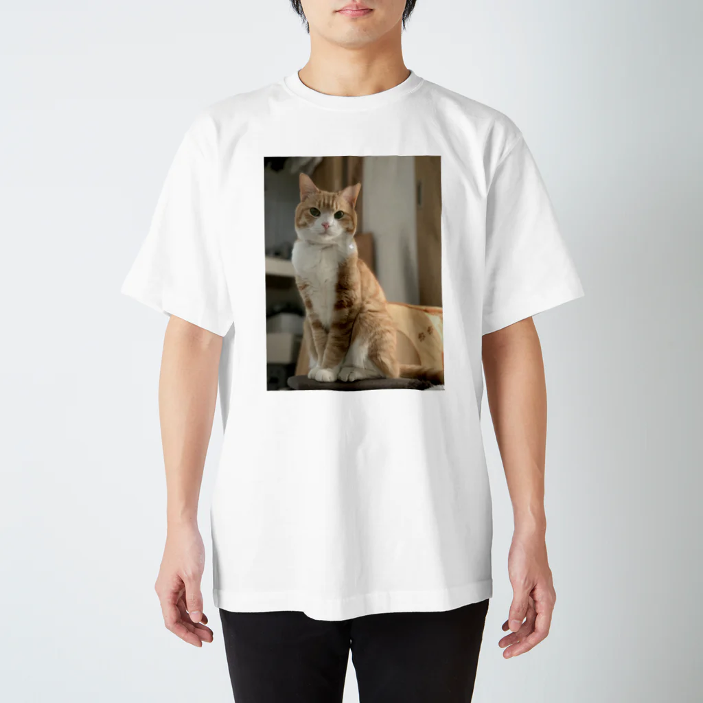 飴色の猫のチロル スタンダードTシャツ