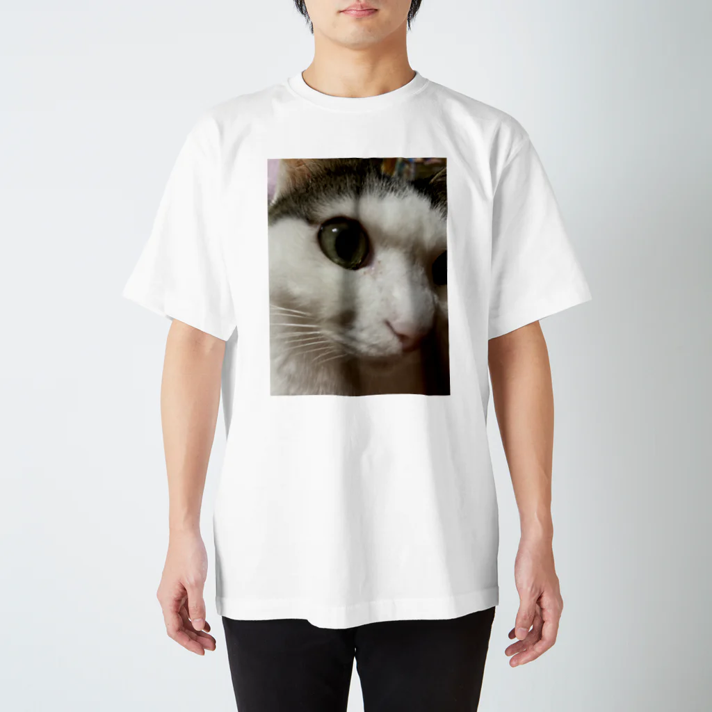 わが家の猫山さん。の猫山さん。はるがきた。 スタンダードTシャツ