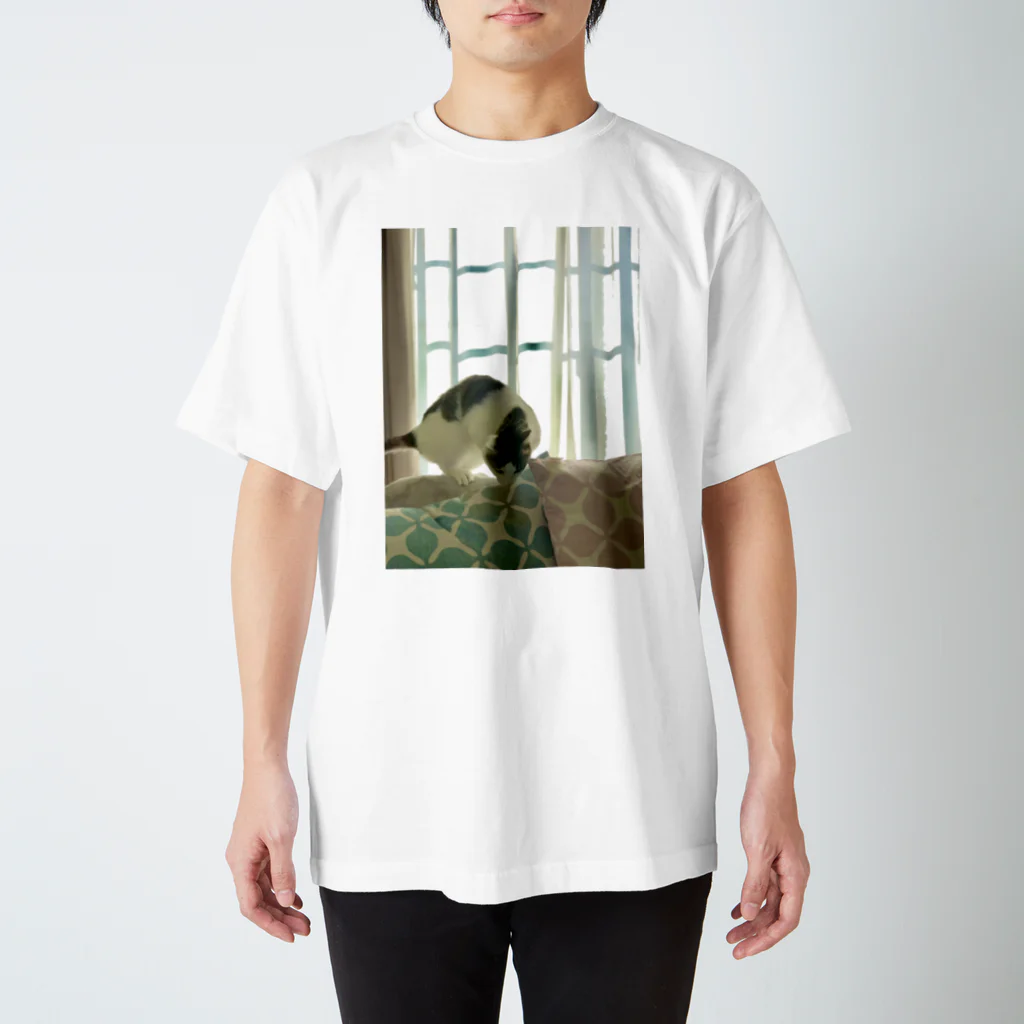 飴色の猫のテオ Regular Fit T-Shirt