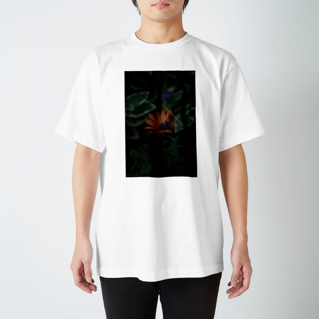 Shuchoのorange flower スタンダードTシャツ