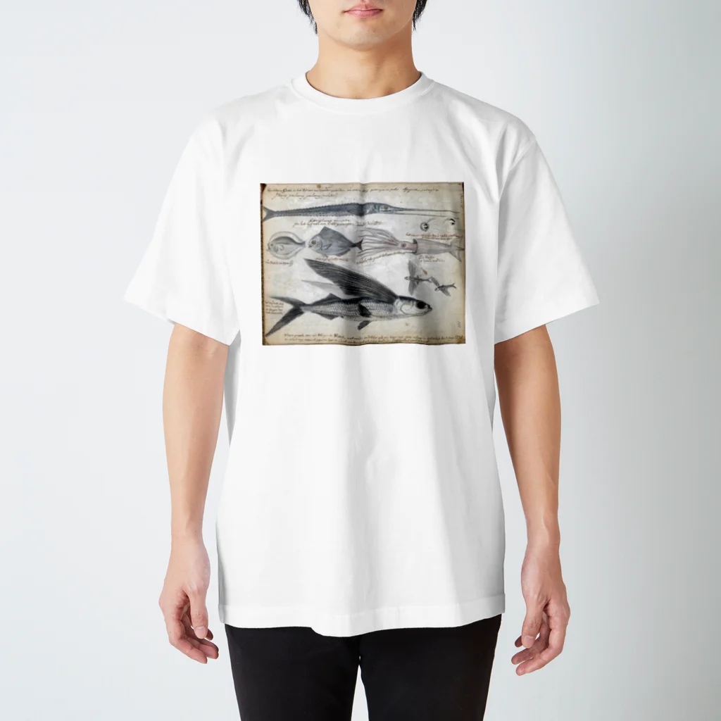 PALA's SHOP　cool、シュール、古風、和風、の魚図鑑ートビウオ他 スタンダードTシャツ