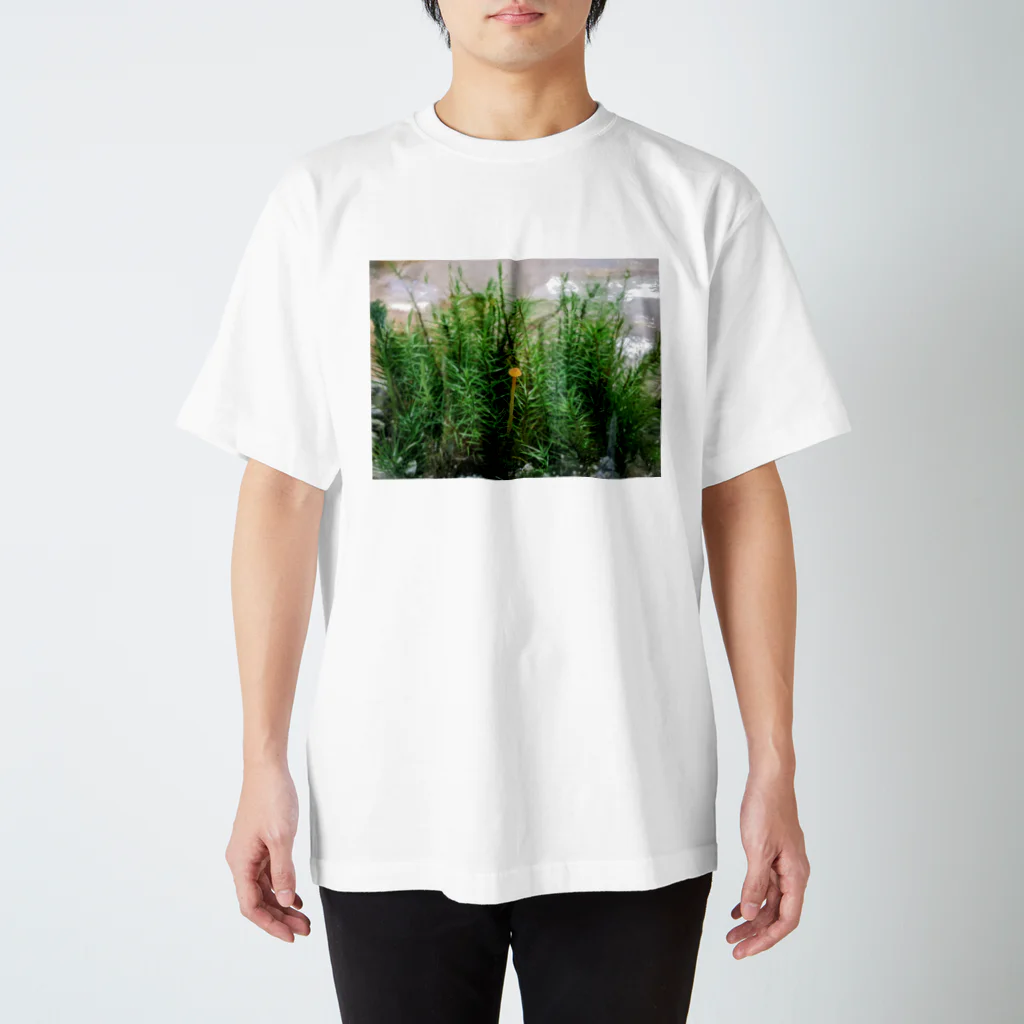 アトリエWindwingのキノコと苔テラリウム Regular Fit T-Shirt