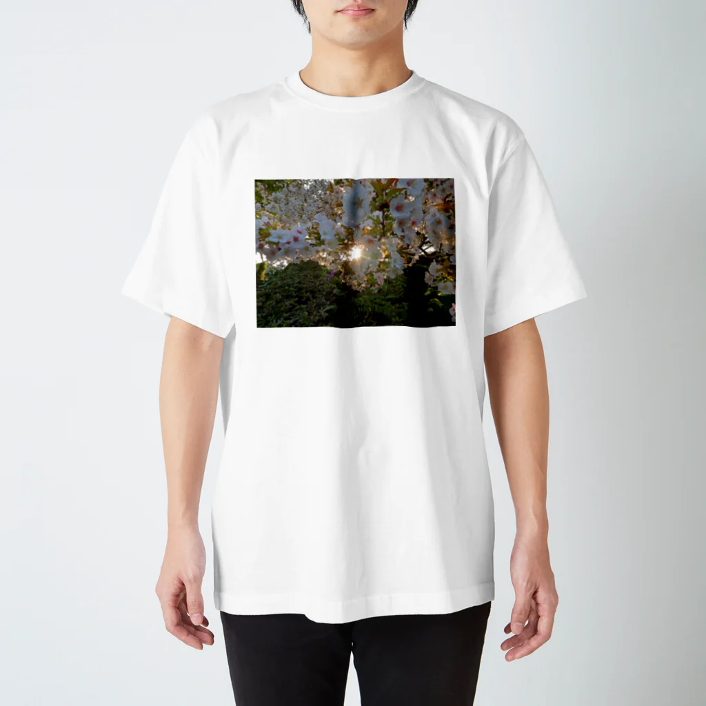 nokkccaの桜満開 - Backlit Sakura - Regular Fit T-Shirt