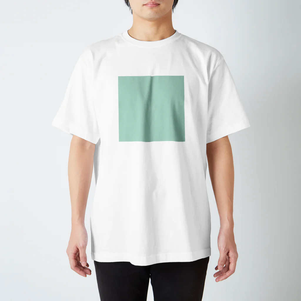 「Birth Day Colors」バースデーカラーの専門店の3月2日の誕生色「ベイ」 Regular Fit T-Shirt