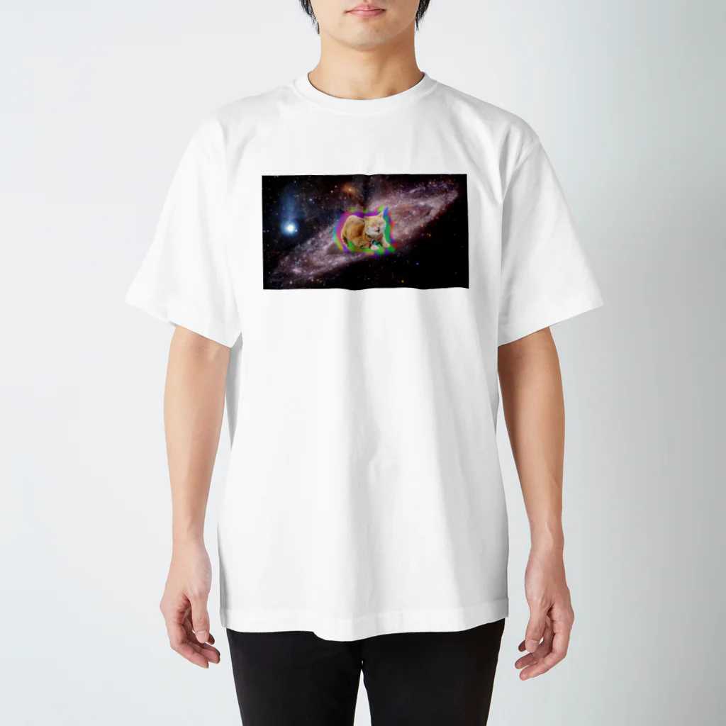 アンクルおじさんのうちのねこ スタンダードTシャツ