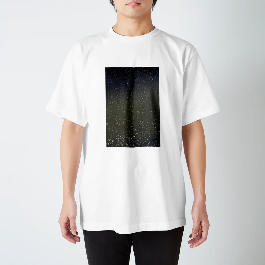 ayak_a_kayaの桜吹雪な Regular Fit T-Shirt