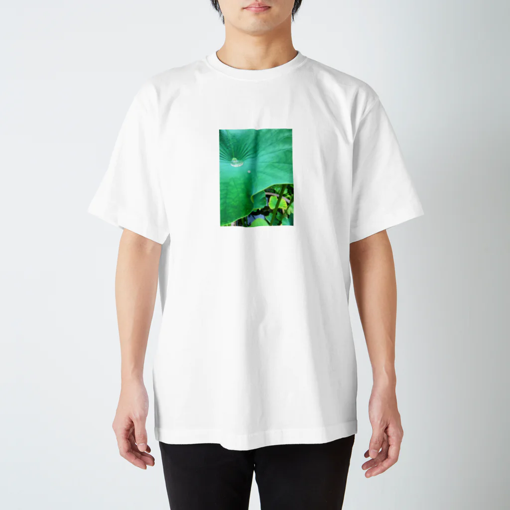 鹿美写真館の蓮の葉 スタンダードTシャツ