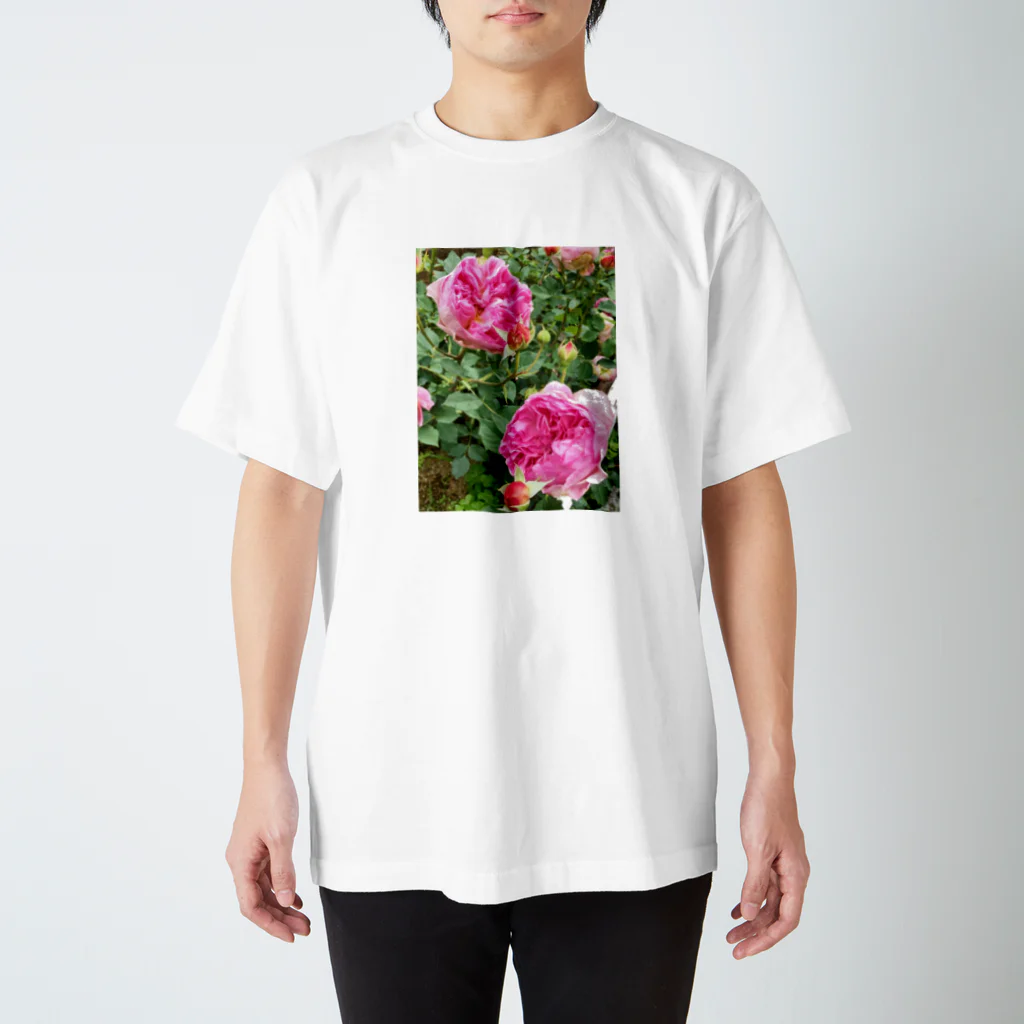 鹿美写真館の薔薇 スタンダードTシャツ