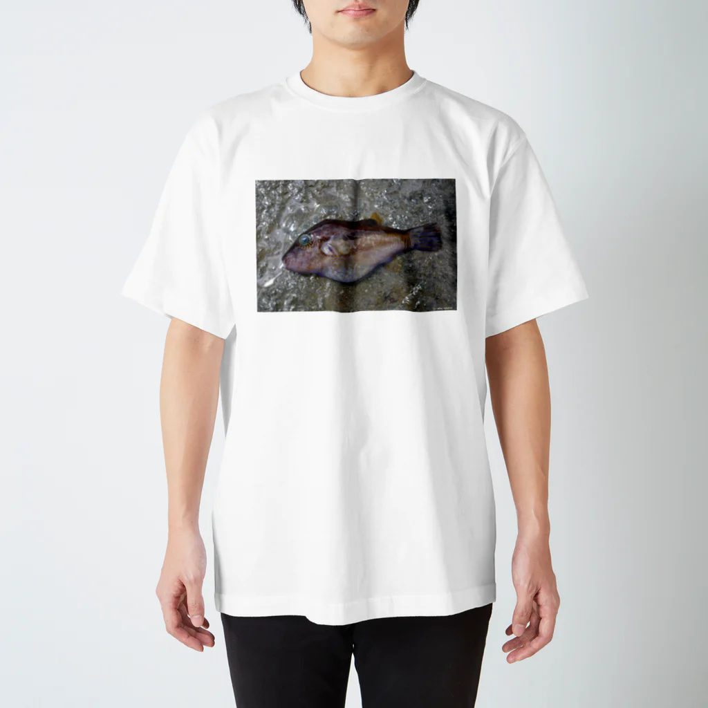 Aiko Nakanoの死んだ魚の目_キタマクラ_20180825_0648' スタンダードTシャツ