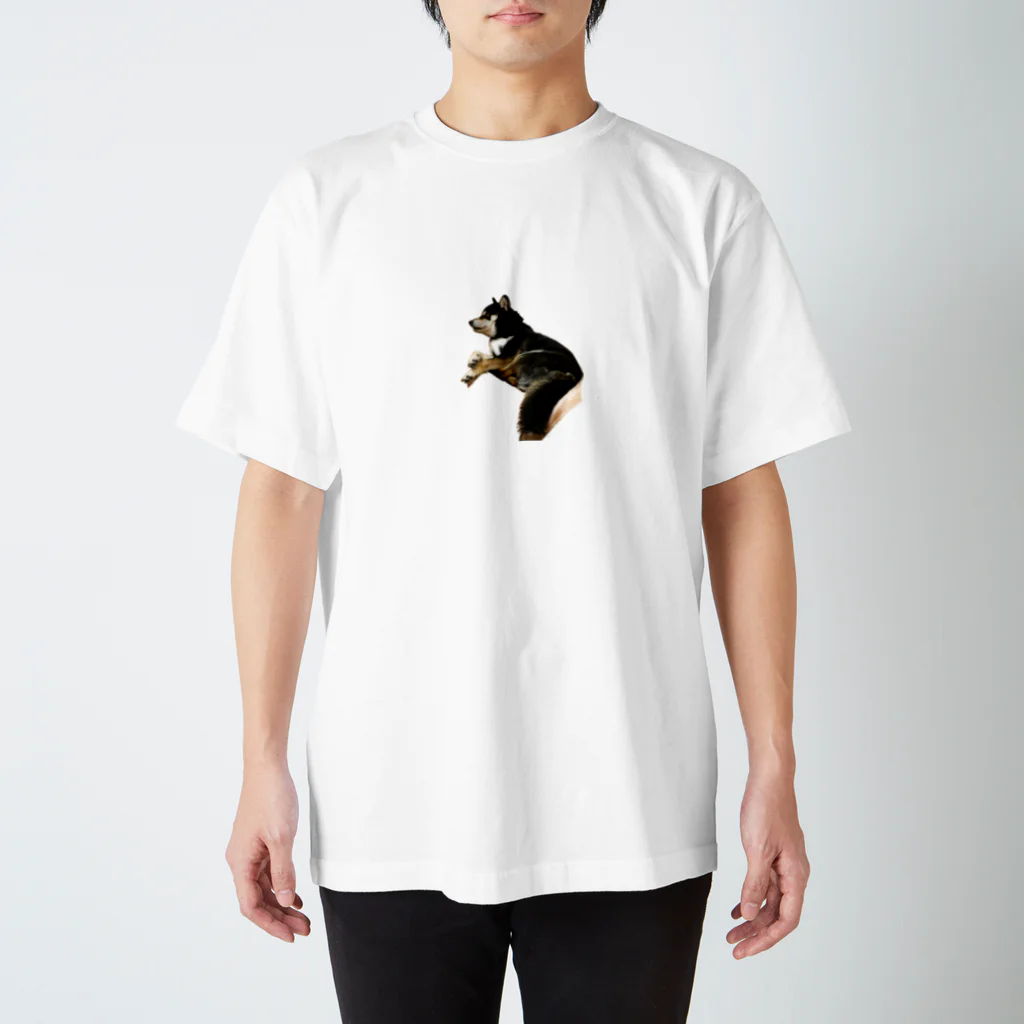 achahiの黒柴犬　ジョシーバ　癒し Regular Fit T-Shirt