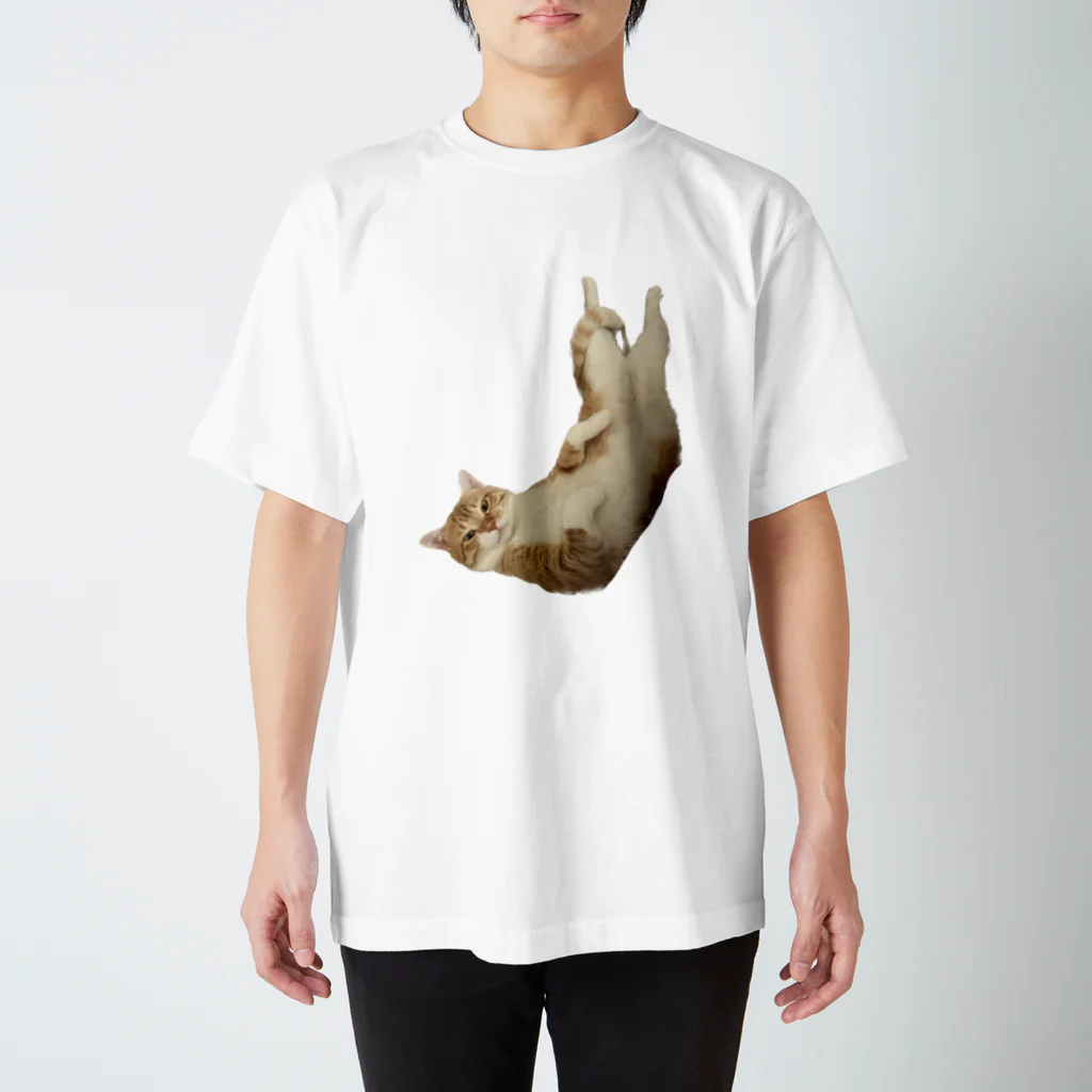 あーのちゃむぞう Regular Fit T-Shirt