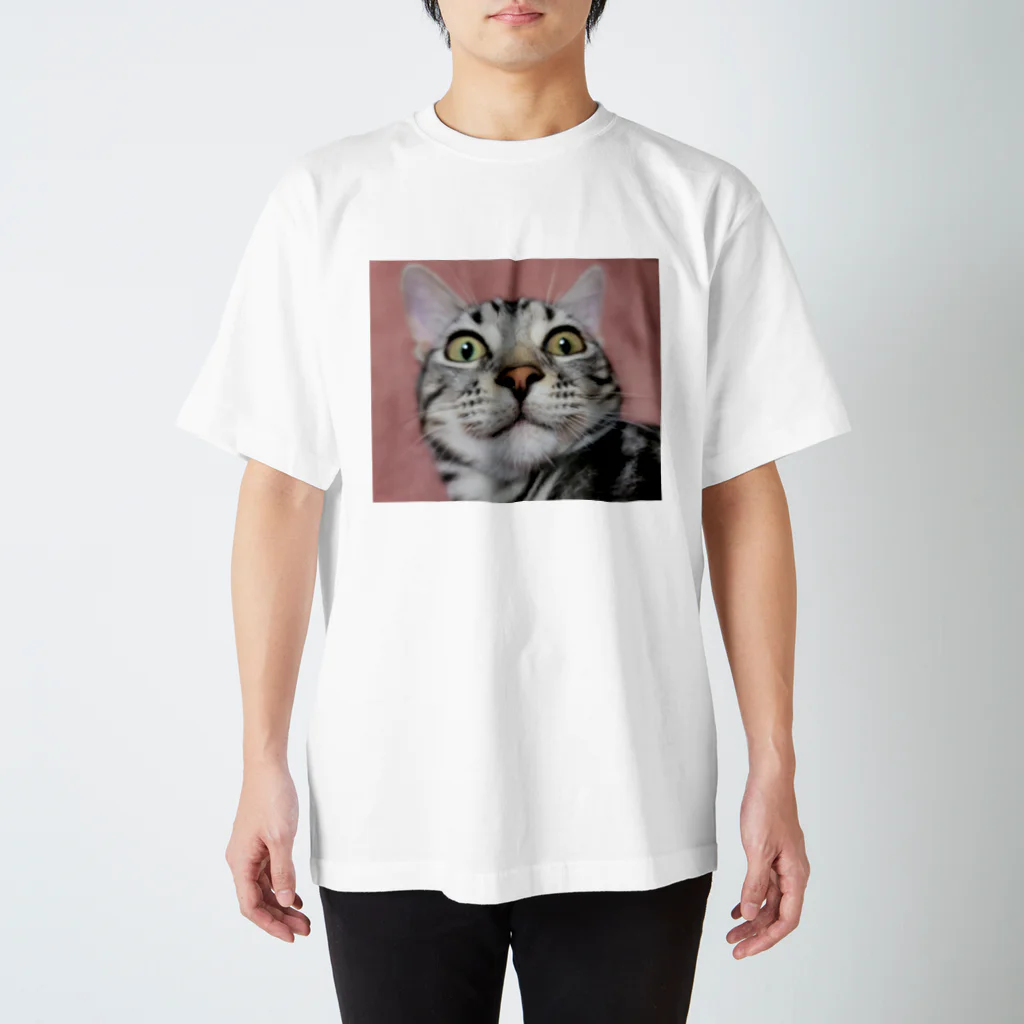 moFUru∞のもふにゃん Regular Fit T-Shirt