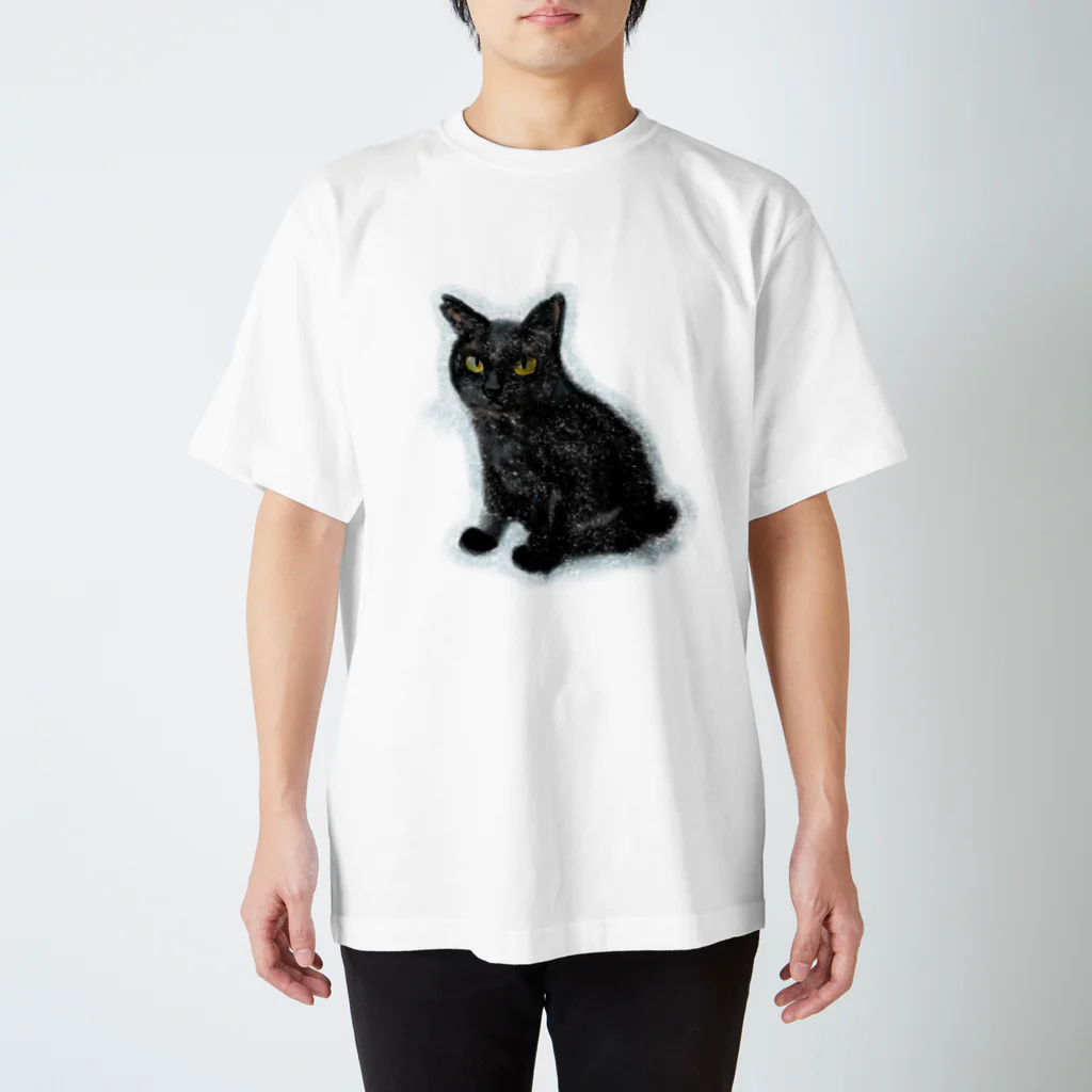 kikkutontonのクロネコ おだんごしっぽ Regular Fit T-Shirt