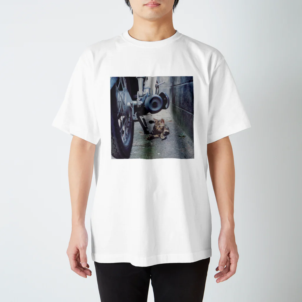 ほのぼの堂の見つめる猫のいる風景 Regular Fit T-Shirt