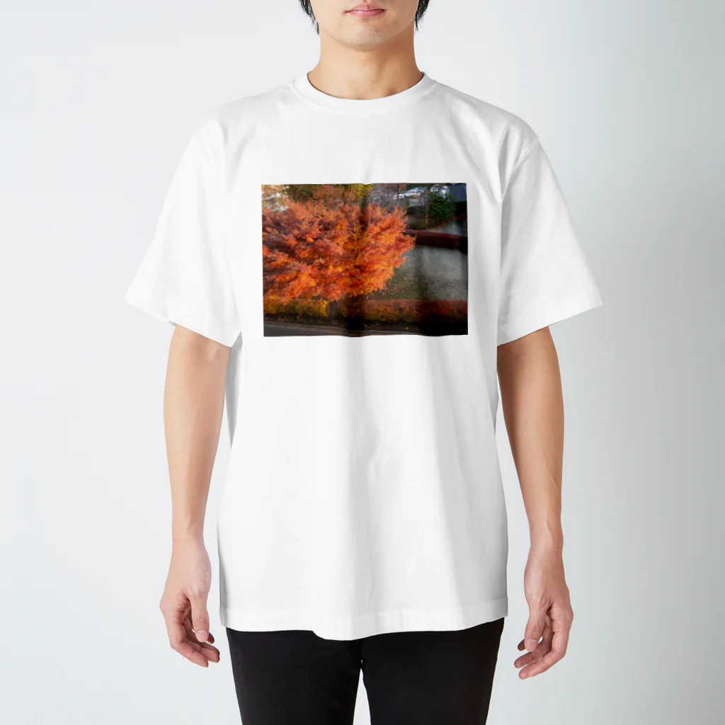 mokiaの紅葉と朝焼けの掛け算 スタンダードTシャツ