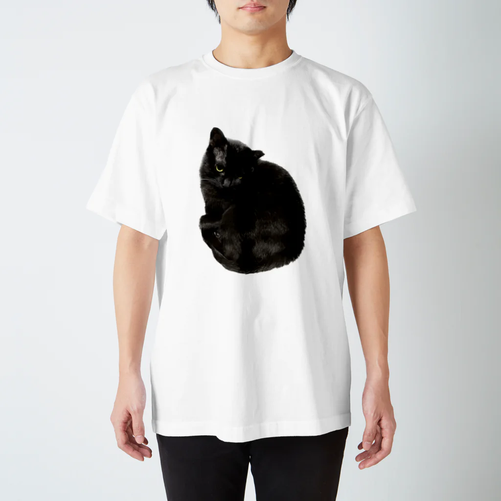 ねりのももち Regular Fit T-Shirt