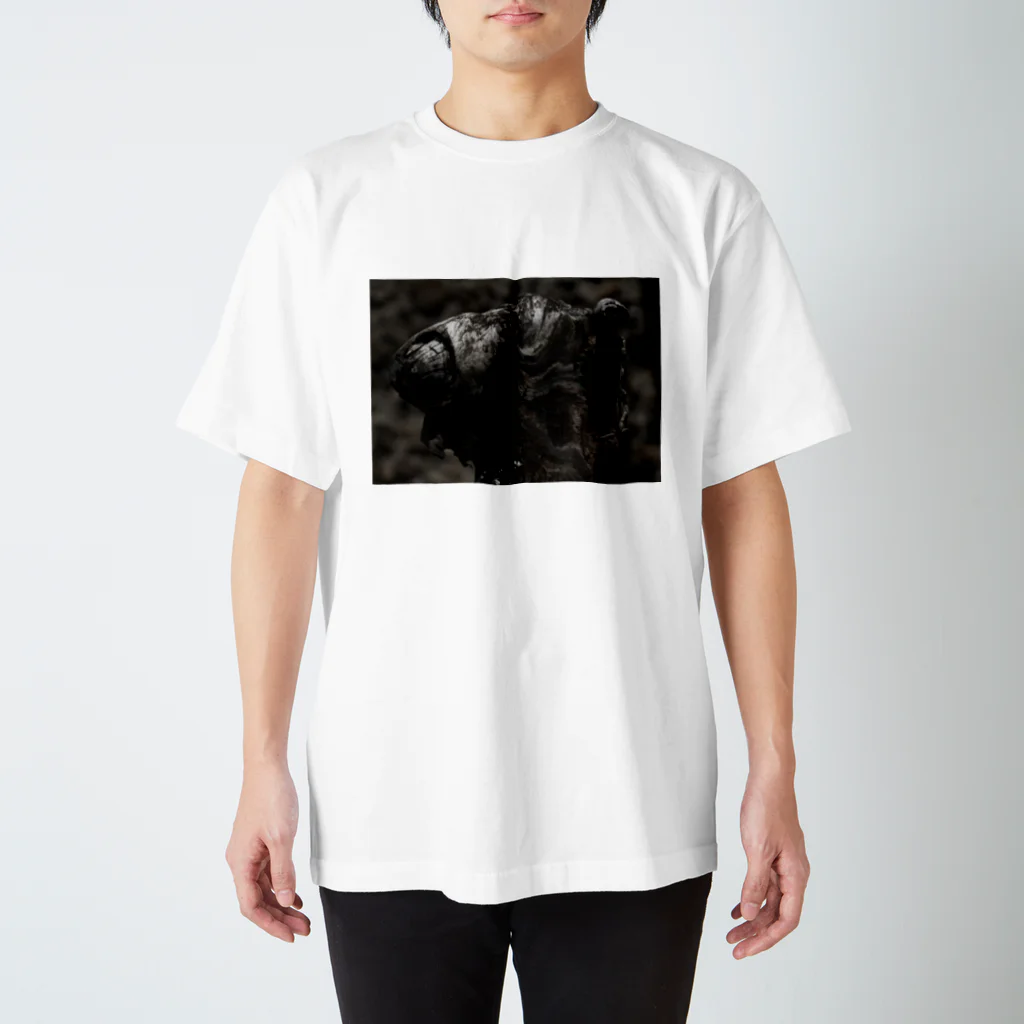 ambi__のTREE_01 スタンダードTシャツ