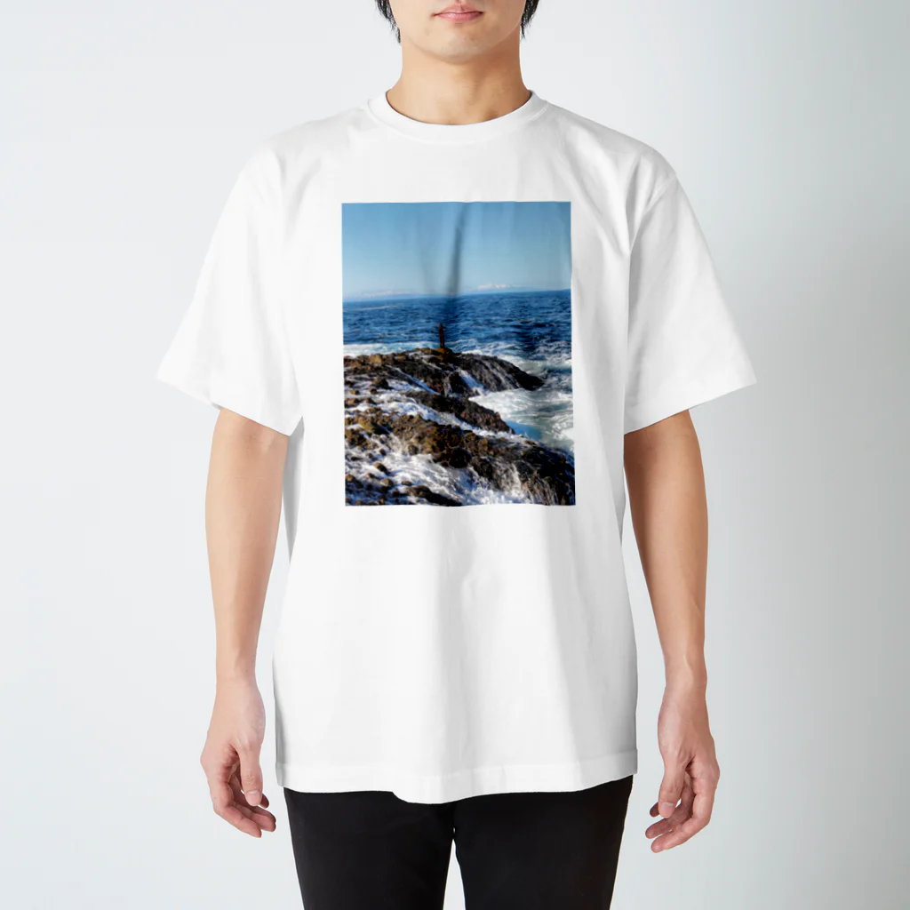 kfcj-kのキナウシ Regular Fit T-Shirt