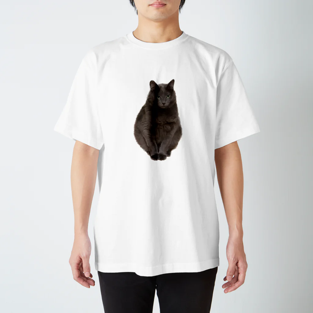 ふぇっとのうちの猫　弐 スタンダードTシャツ