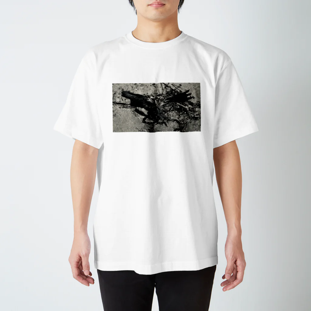 ambi__のBIRD_01 スタンダードTシャツ