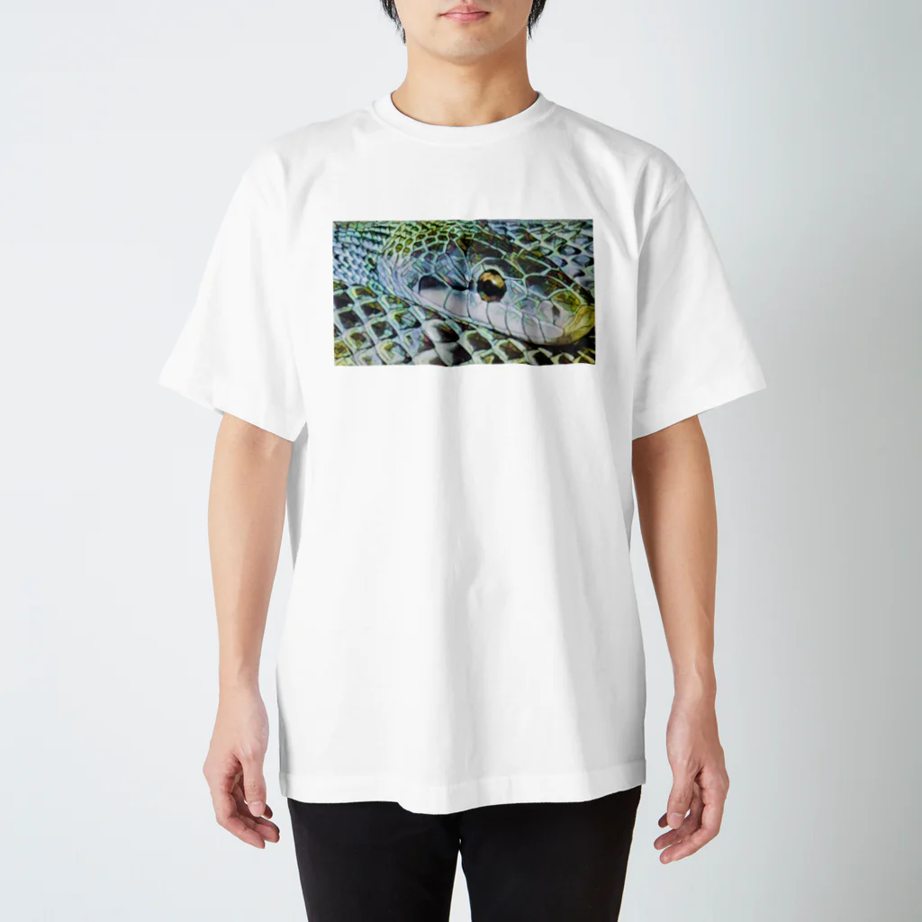 めげのだいたいめげてるお店のヘビT スタンダードTシャツ