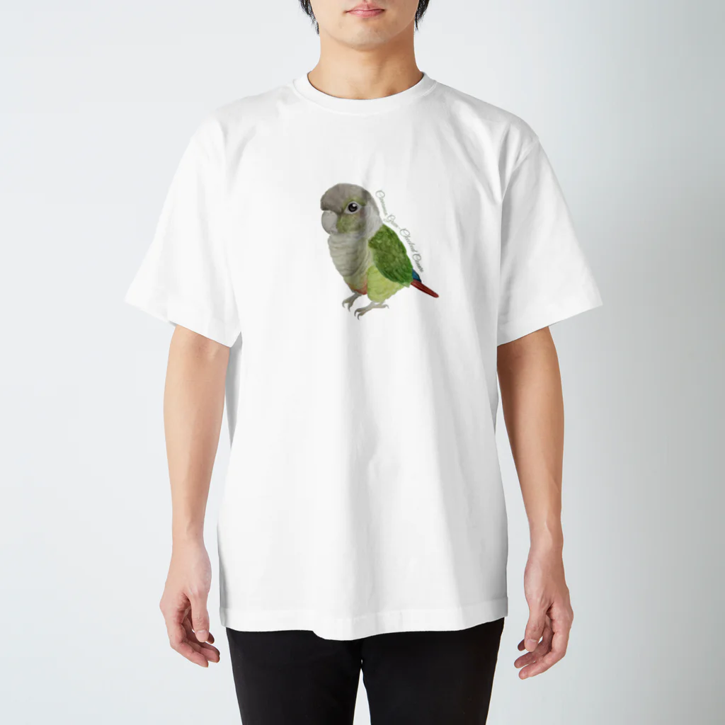 mariechan_koboの107 ウロコインコシナモン simple スタンダードTシャツ