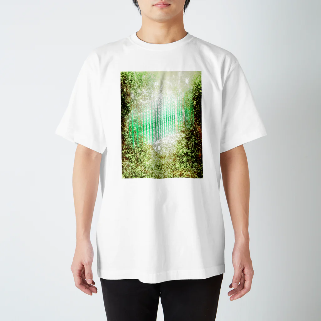 TRISSIBLEのTemptation to light Regular Fit T-Shirt