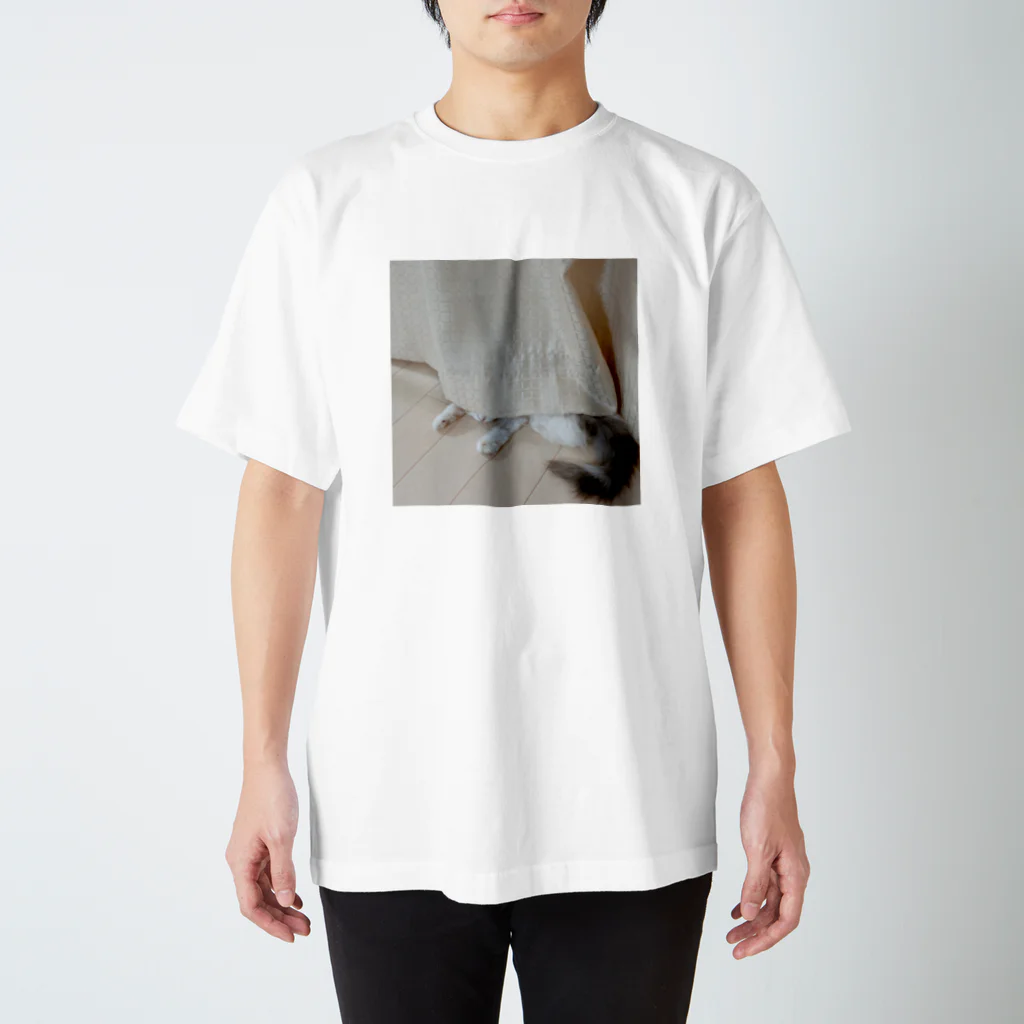 oolongのカーテンキャット Regular Fit T-Shirt